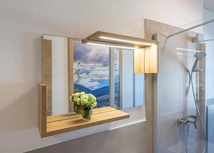 Dresselbach - 01 Talblick In Für 6 Personen * Schluchsee